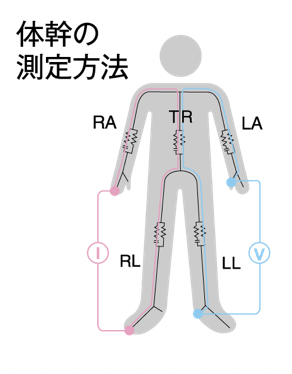 部位別直接インピーダンス測定法(DSM-BIA)